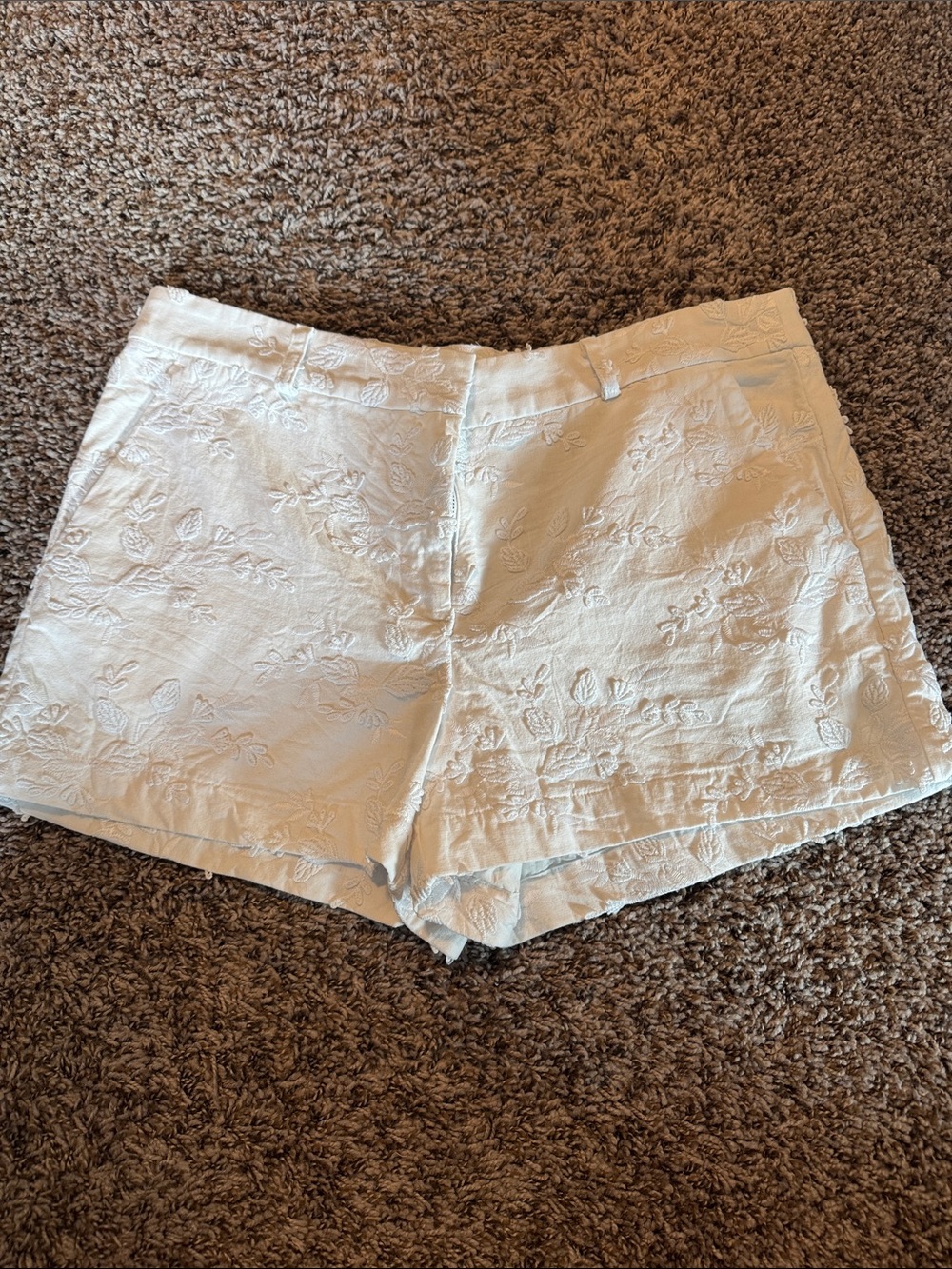 LOFT White Embroidered High-Waist Shorts